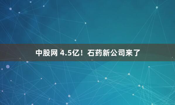 中股网 4.5亿！石药新公司来了