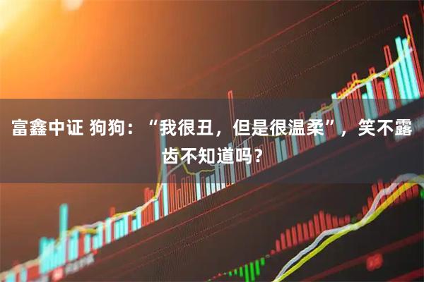 富鑫中证 狗狗：“我很丑，但是很温柔”，笑不露齿不知道吗？
