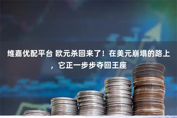 维嘉优配平台 欧元杀回来了！在美元崩塌的路上，它正一步步夺回王座