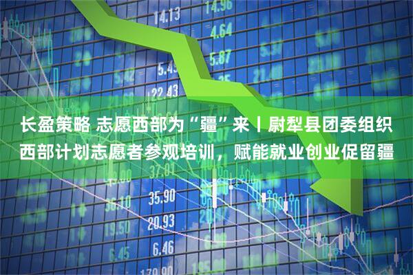 长盈策略 志愿西部为“疆”来丨尉犁县团委组织西部计划志愿者参观培训，赋能就业创业促留疆