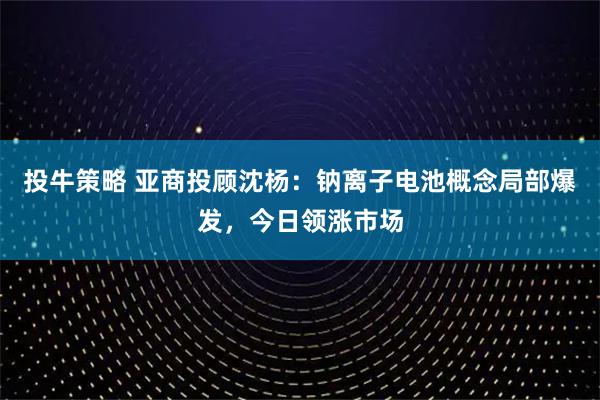 投牛策略 亚商投顾沈杨：钠离子电池概念局部爆发，今日领涨市场